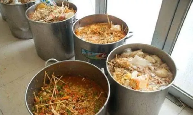 餐厨垃圾为什么要分类收运处理?