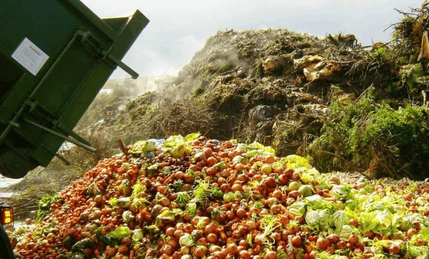 如何进行无害化果蔬垃圾处理?